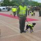 "Emotivo Reconocimiento: Policía Nacional Adorna a Más de 200 Animales Adoptados con 'Pañoleta de la Seguridad'".