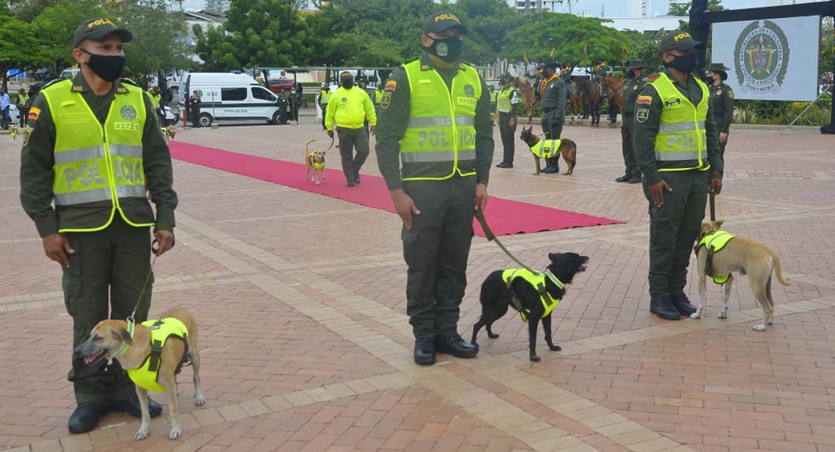 "Emotivo Reconocimiento: Policía Nacional Adorna a Más de 200 Animales Adoptados con 'Pañoleta de la Seguridad'".