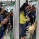 Héroe Peludo: Golden Retriever Sobrevive a Disparo para Rescatar a su Dueño y Recibe Ovación en el Hospital