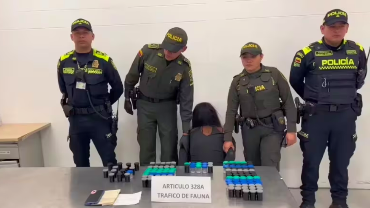 ¡Mujer Detenida en el Aeropuerto El Dorado con Frascos de Ranas Venenosas!
