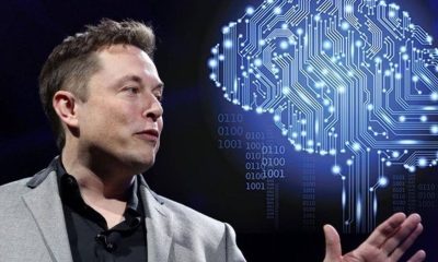 Neuralink, el Futuro de la Interfaz Cerebro-Computadora: Éxito en el Primer Implante Humano