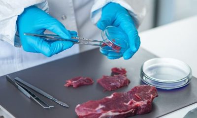 Científicos surcoreanos desarrollan arroz rosado en laboratorio como alternativa a la carne tradicional