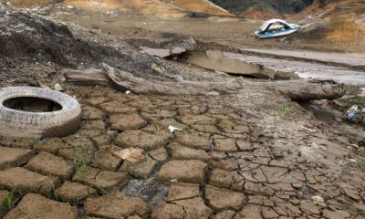 Impacto Devastador: Sequía por El Niño Transforma Guatapé en un Desolador Paisaje