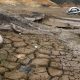 Impacto Devastador: Sequía por El Niño Transforma Guatapé en un Desolador Paisaje