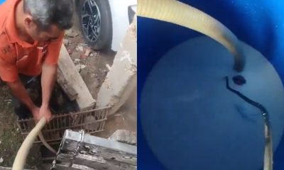 Crisis en la Ganadería de Cimitarra: Ganaderos se Ven Obligados a Desechar Leche por Falta de Compradores