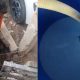 Crisis en la Ganadería de Cimitarra: Ganaderos se Ven Obligados a Desechar Leche por Falta de Compradores